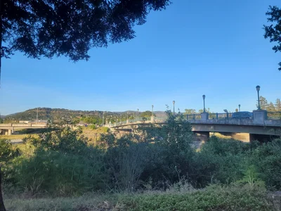Napa - Photo 4