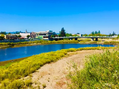 Napa - Photo 5