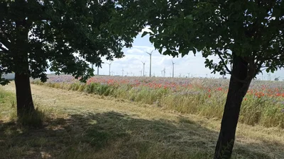 Wustermark - Photo 2