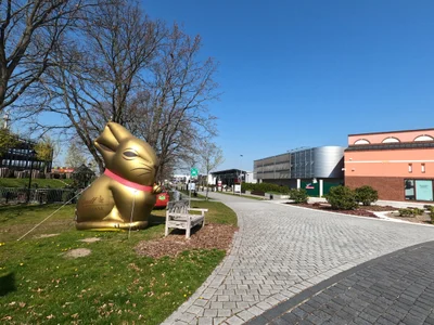 Wustermark - Photo 3