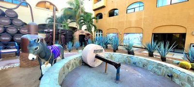 Cabo San Lucas - Photo 3