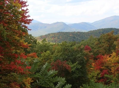 Sevierville - Photo 5