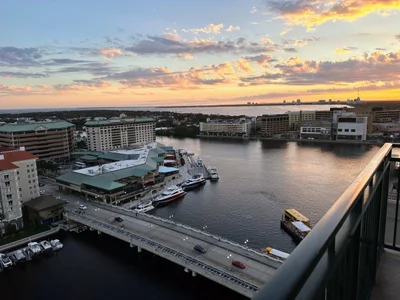 Tampa - Photo 2