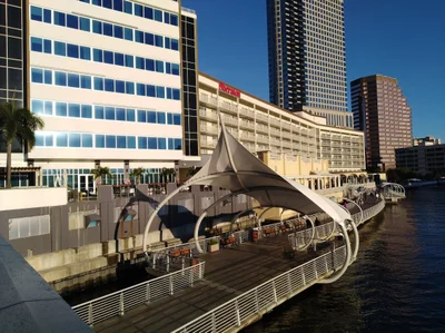 Tampa - Photo 3