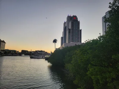 Tampa - Photo 4