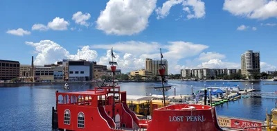 Tampa - Photo 5