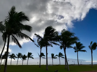 Kahului - Photo 2