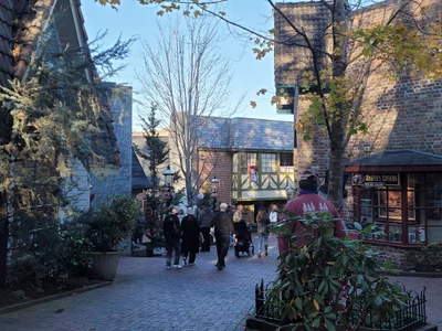 Gatlinburg - Photo 2
