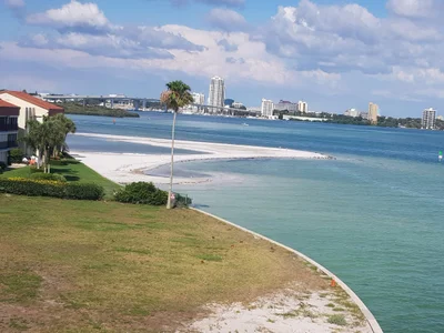 Clearwater - Photo 2