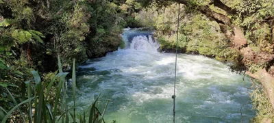 Okere Falls - Photo 4