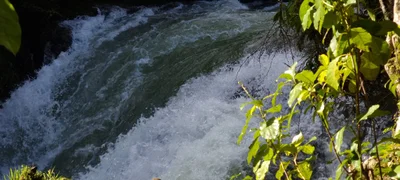Okere Falls - Photo 5