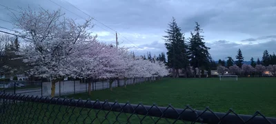 Bellingham - Photo 4