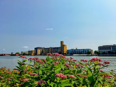 Green Bay - Photo 2