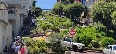 Berkeley - Photo 5