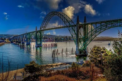 Newport - Photo 2