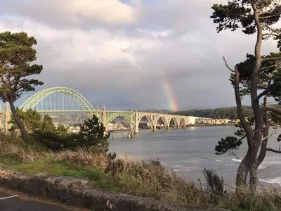 Newport - Photo 5