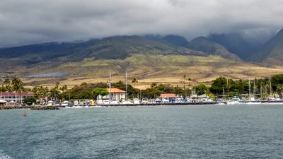 Lahaina - Photo 3
