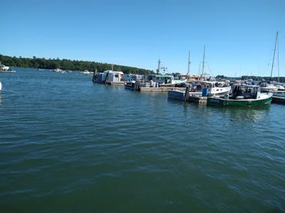 Freeport - Photo 4