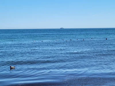 New Shoreham - Photo 4