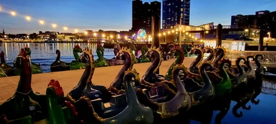 Baltimore - Photo 2