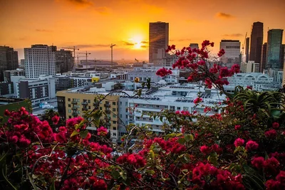 Los Angeles - Photo 5