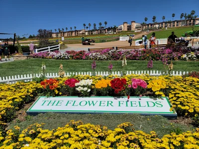 Carlsbad - Photo 3