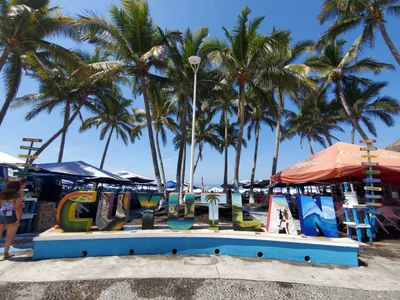 Colima - Photo 4