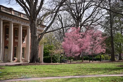 Chapel Hill - Photo 4