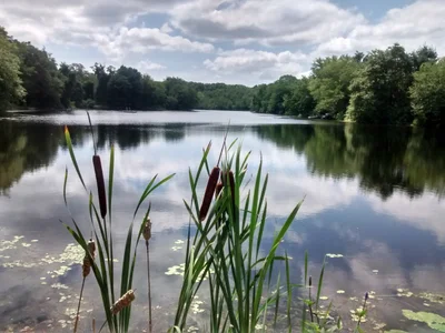 North Kingstown - Photo 5