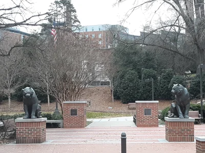 Clemson - Photo 2