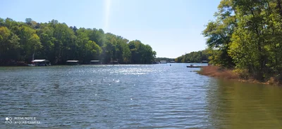 Clemson - Photo 4
