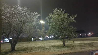 Southaven - Photo 2