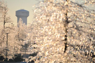 Southaven - Photo 3