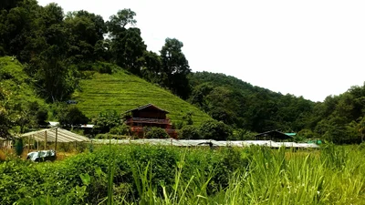 Samoeng - Photo 4
