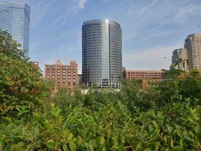 Grand Rapids - Photo 3