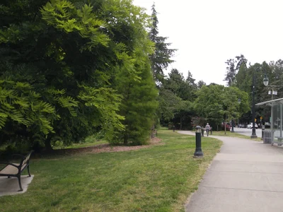 Delta - Photo 2
