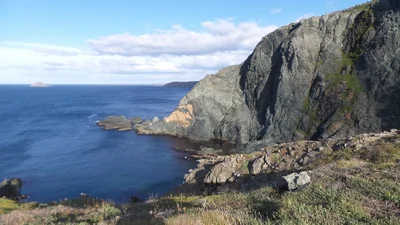 Twillingate - Photo 2