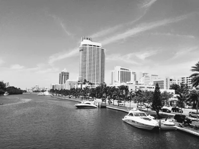 Miami - Photo 4