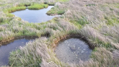 Barnstable - Photo 2