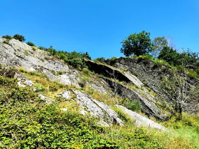 The Ardennes - Photo 3
