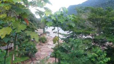 Chazuta - Photo 3