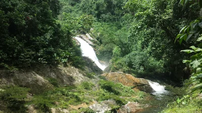 Chazuta - Photo 4