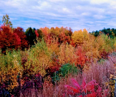 Gilford - Photo 2