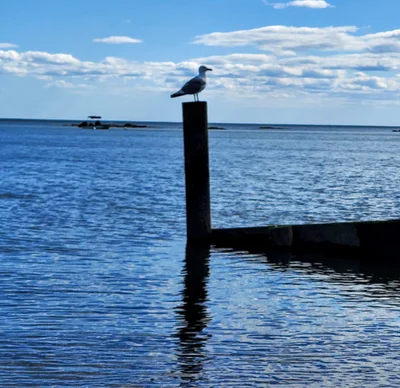 Madison - Photo 2