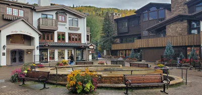 Vail - Photo 5