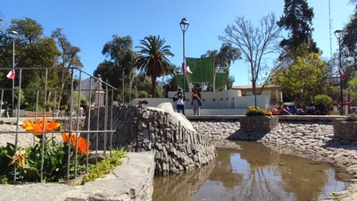 Vicuña - Photo 3