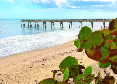 Vero Beach - Photo 4