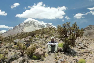 Sajama National Park - Photo 5