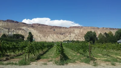 Palisade - Photo 3