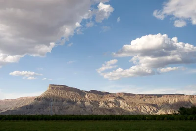 Palisade - Photo 4